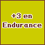 +3 Endurance